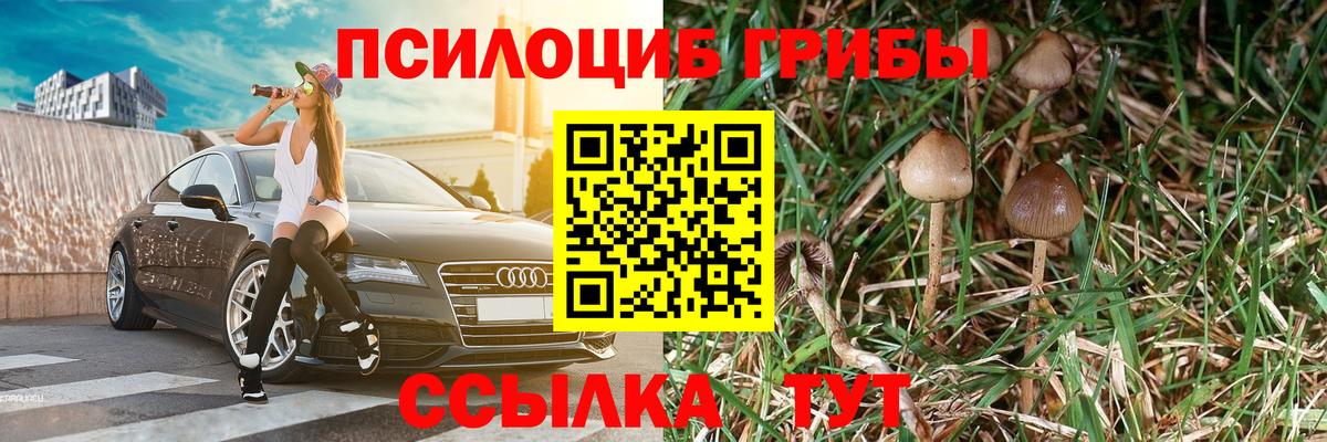 Галлюциногенные грибы мицелий  Псилоцибиновые грибы Psilocybine cubensis  Вход с VPN  Каменка 